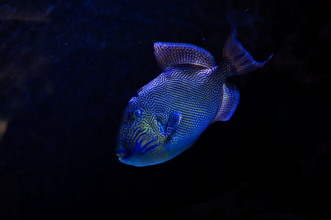 fishing game jackpot malaysia 2026 image 1