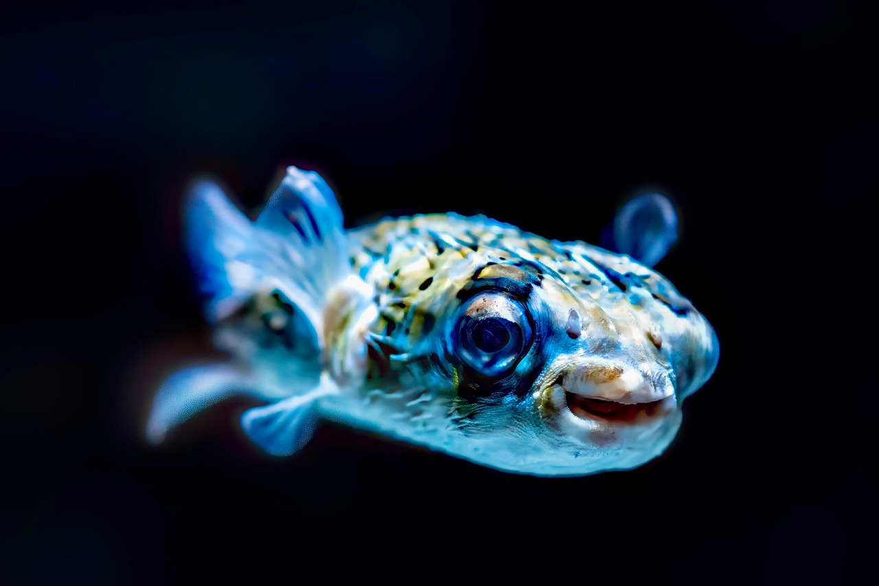 fishing game jackpot malaysia 2026 image 2