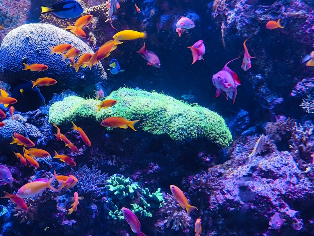 jackpot fishing malaysia 2026 image 1