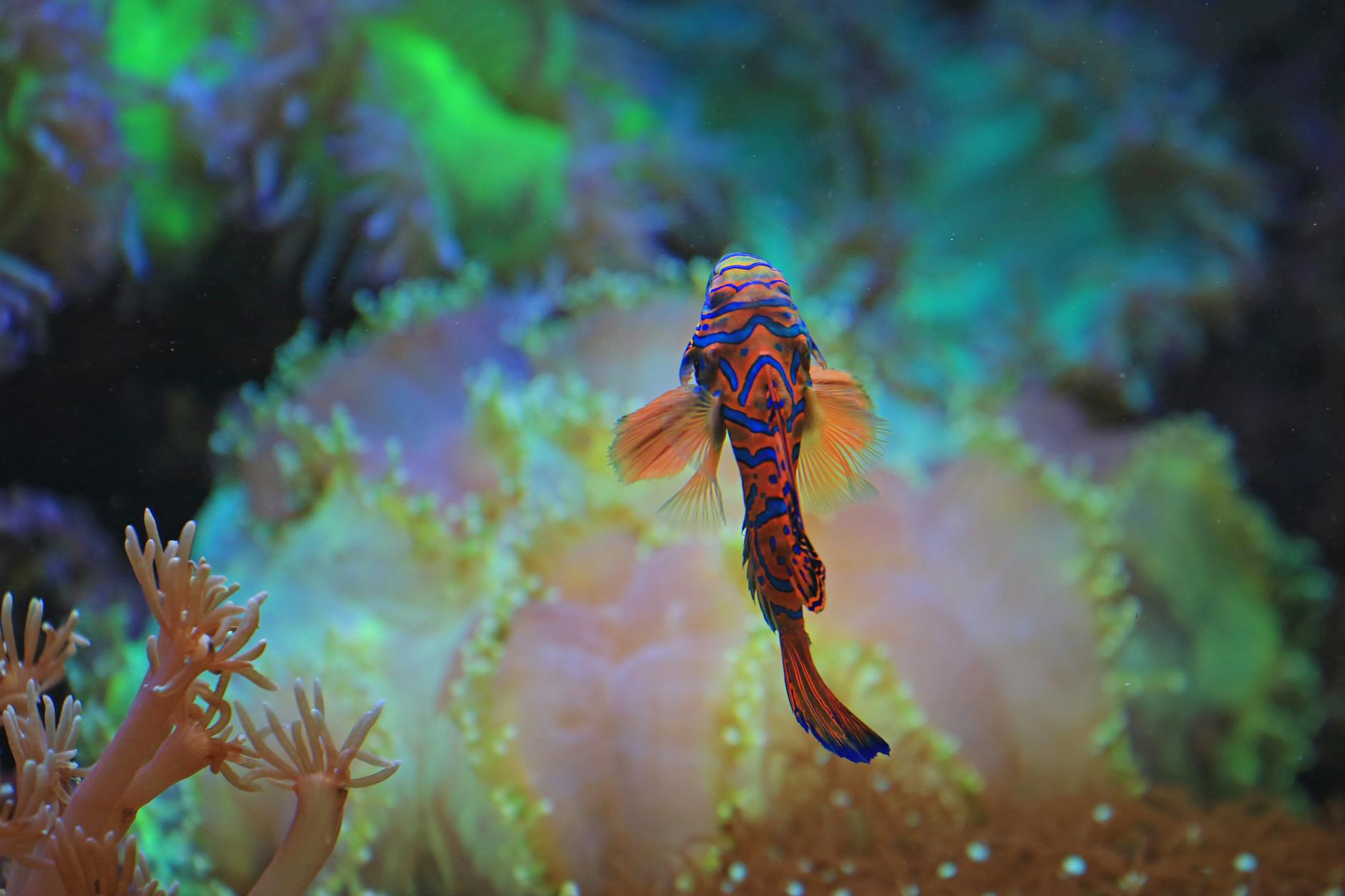 jackpot fishing malaysia 2026 image 3