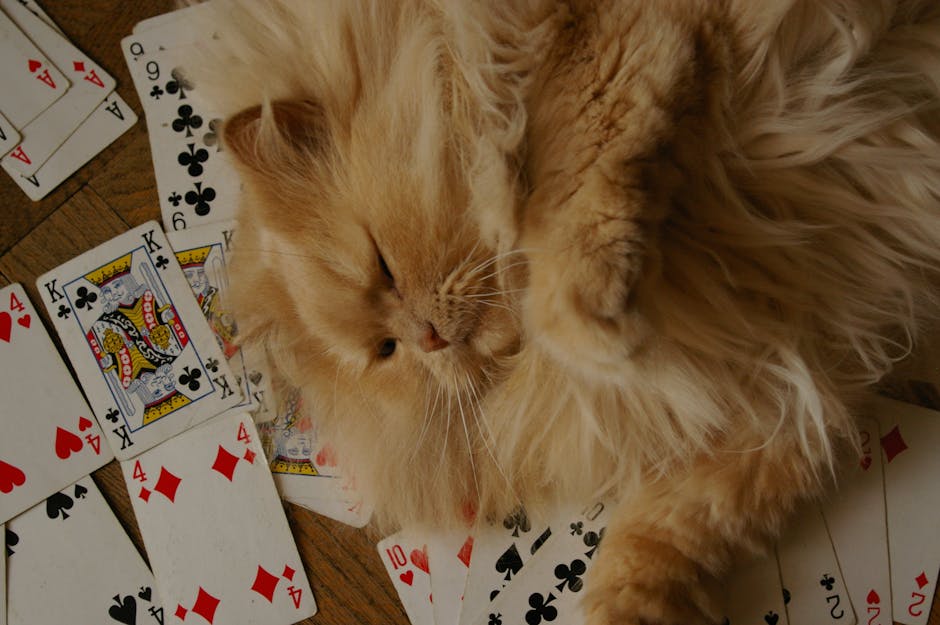 baccarat side bet malaysia game:baccarat 1