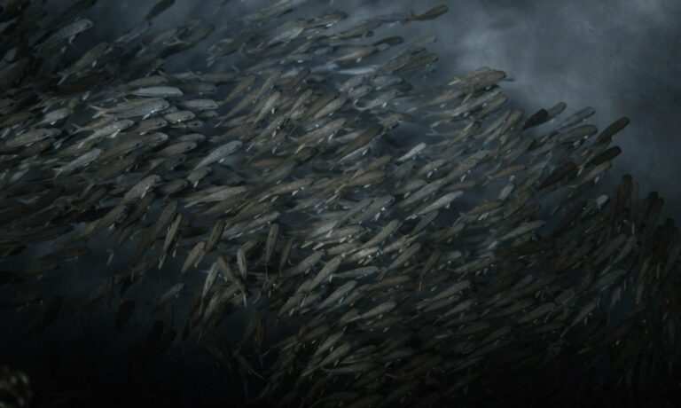 Ocean King Fishing Malaysia: Complete 2026 Guide