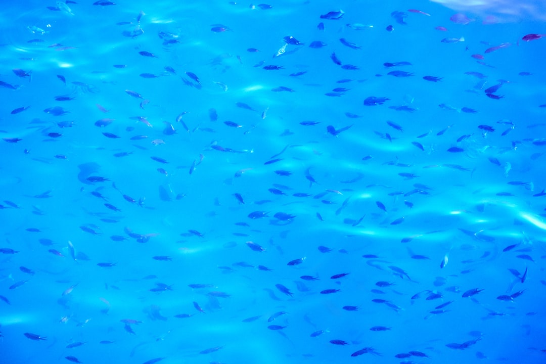 jili fishing game how to win malaysia 2026 image 1